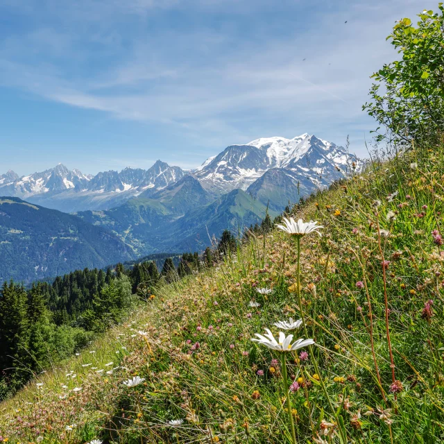 Le massif du Mont-Blanc vu de Saint-Gervais