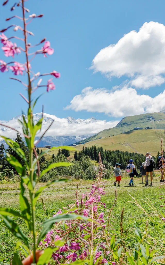 Randonnée au départ du Mont d'Arbois