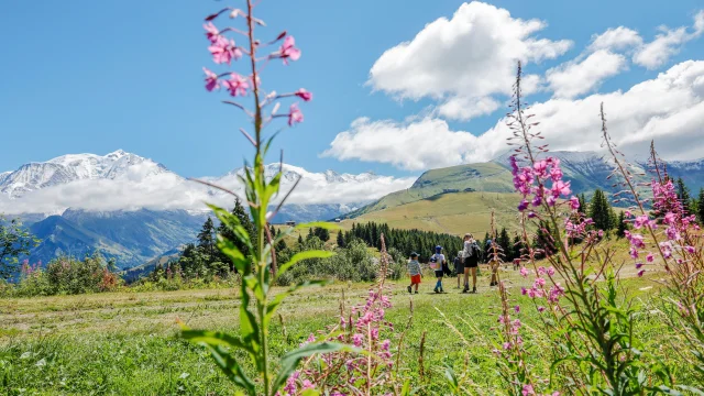 Randonnée au départ du Mont d'Arbois