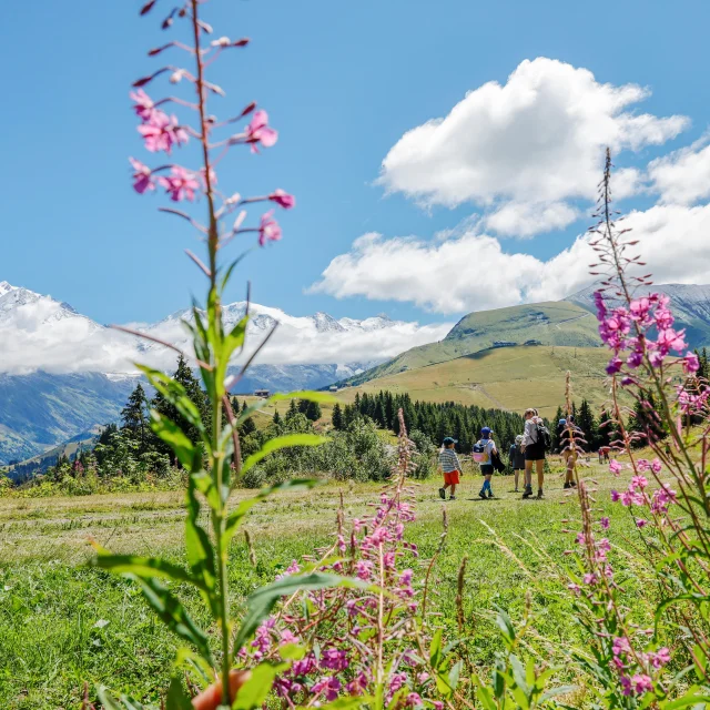 Randonnée au départ du Mont d'Arbois