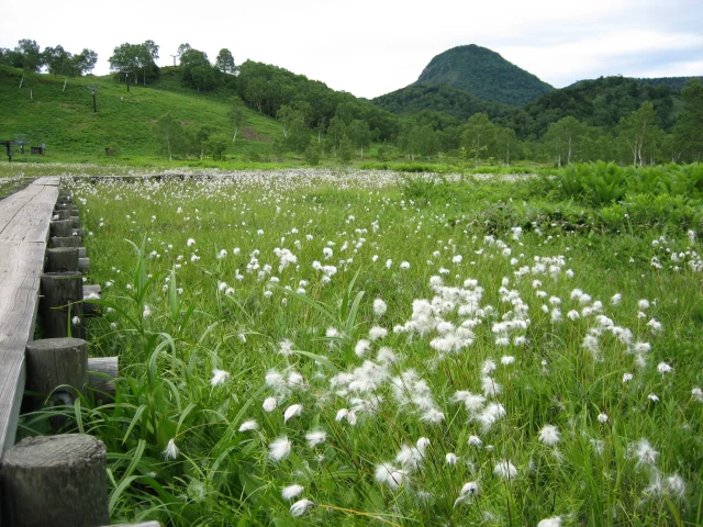 Tanohara Wetland