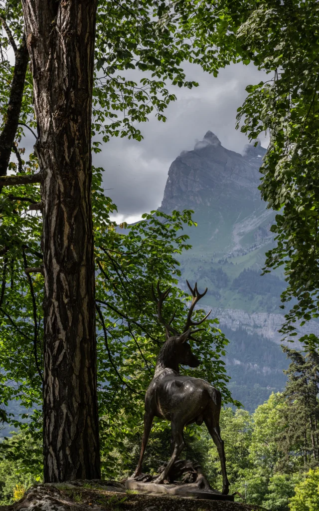 Le cerf du parc thermal du fayet