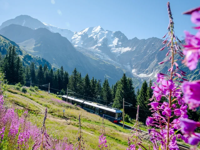 Le Tramway du Mont-Blanc en direction du Mont-Lachat l'été